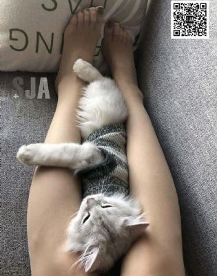 国产车日系车的差距_BD高清在线